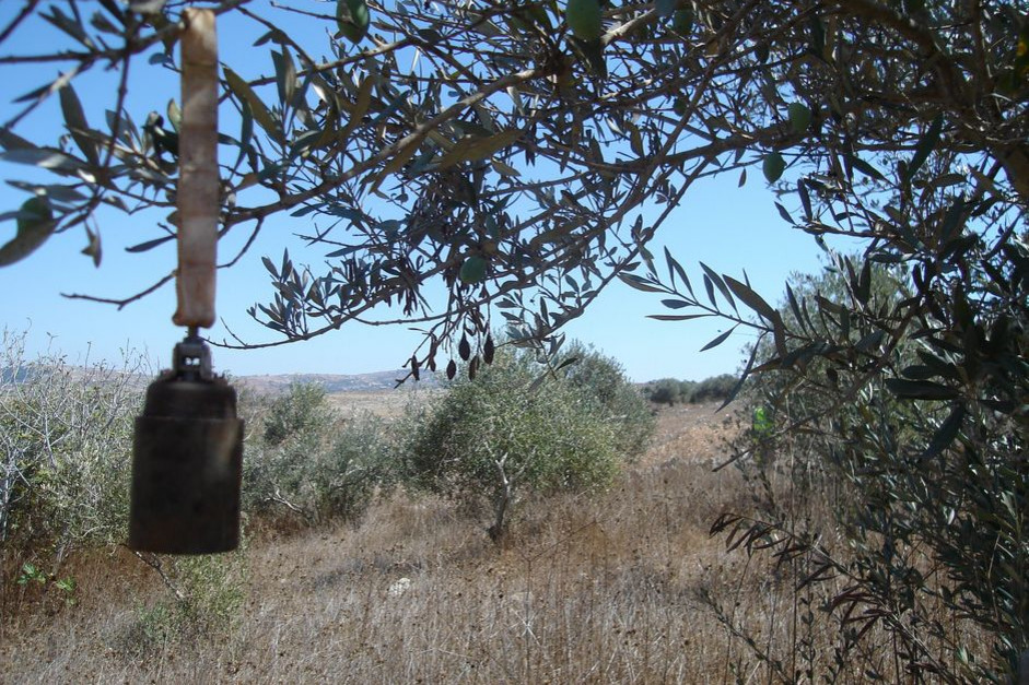 Ein metallener Zylinder hängt an einem Band an einem Baum.