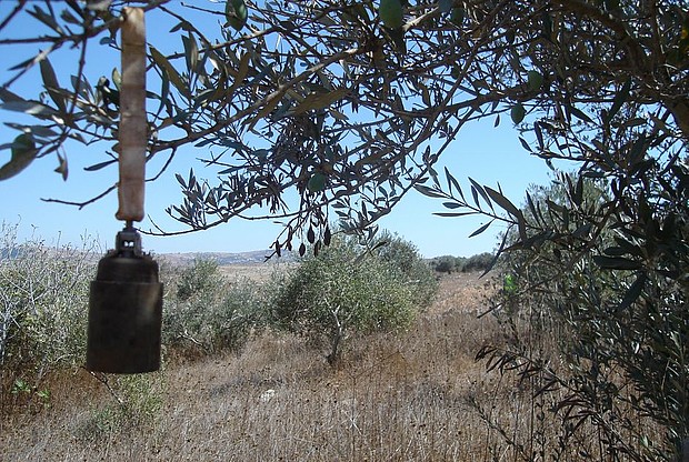 Ein metallener Zylinder hängt an einem Band an einem Baum.