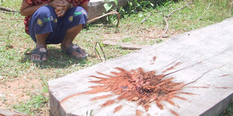 Ein Baumstamm voller Blut. Im Hintergrund sitzt Kind in der Hocke, der Oberkörper ist nicht im Bild.