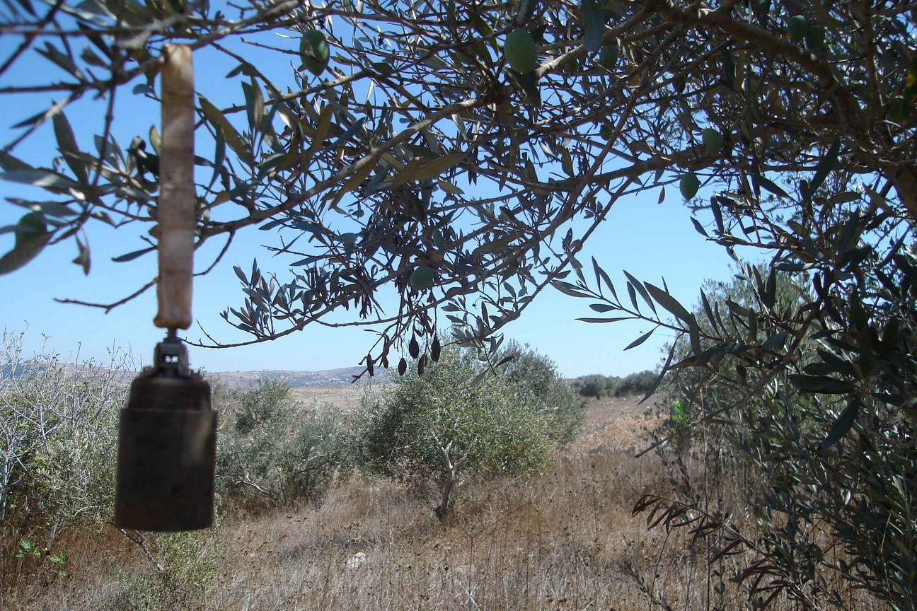 Ein kegelförmiger Metallgegenstand an dessen Kopf ein Textilband eine Schlaufe bildet.